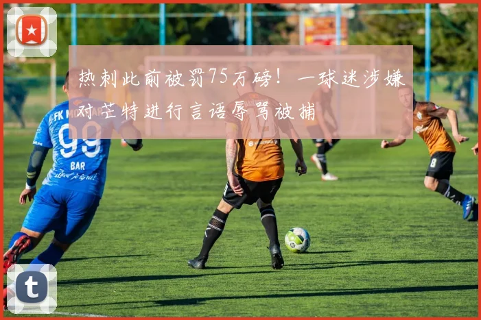热刺此前被罚75万磅！一球迷涉嫌对芒特进行言语辱骂被捕
