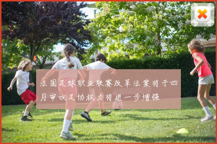 法国足球职业联赛改革法案将于四月审议足协权力将进一步增强